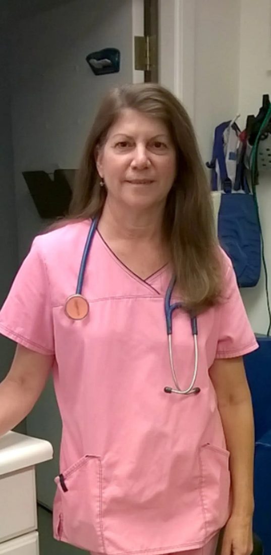 Female veterinarian in pink scrubs with stethoscope in clinic hallway