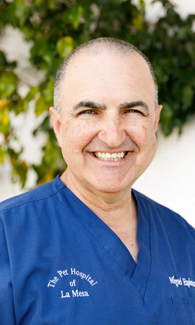 Smiling veterinarian in blue scrubs with The Pet Hospital of La Mesa logo
