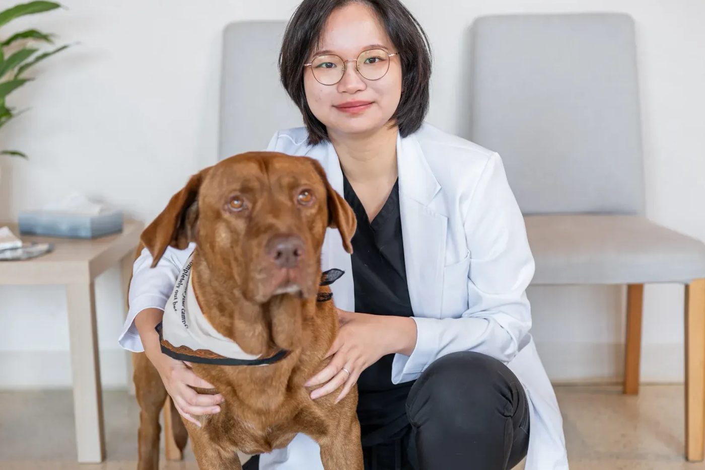 Veterinarian kneeling with brown dog in exam room at pet hospital