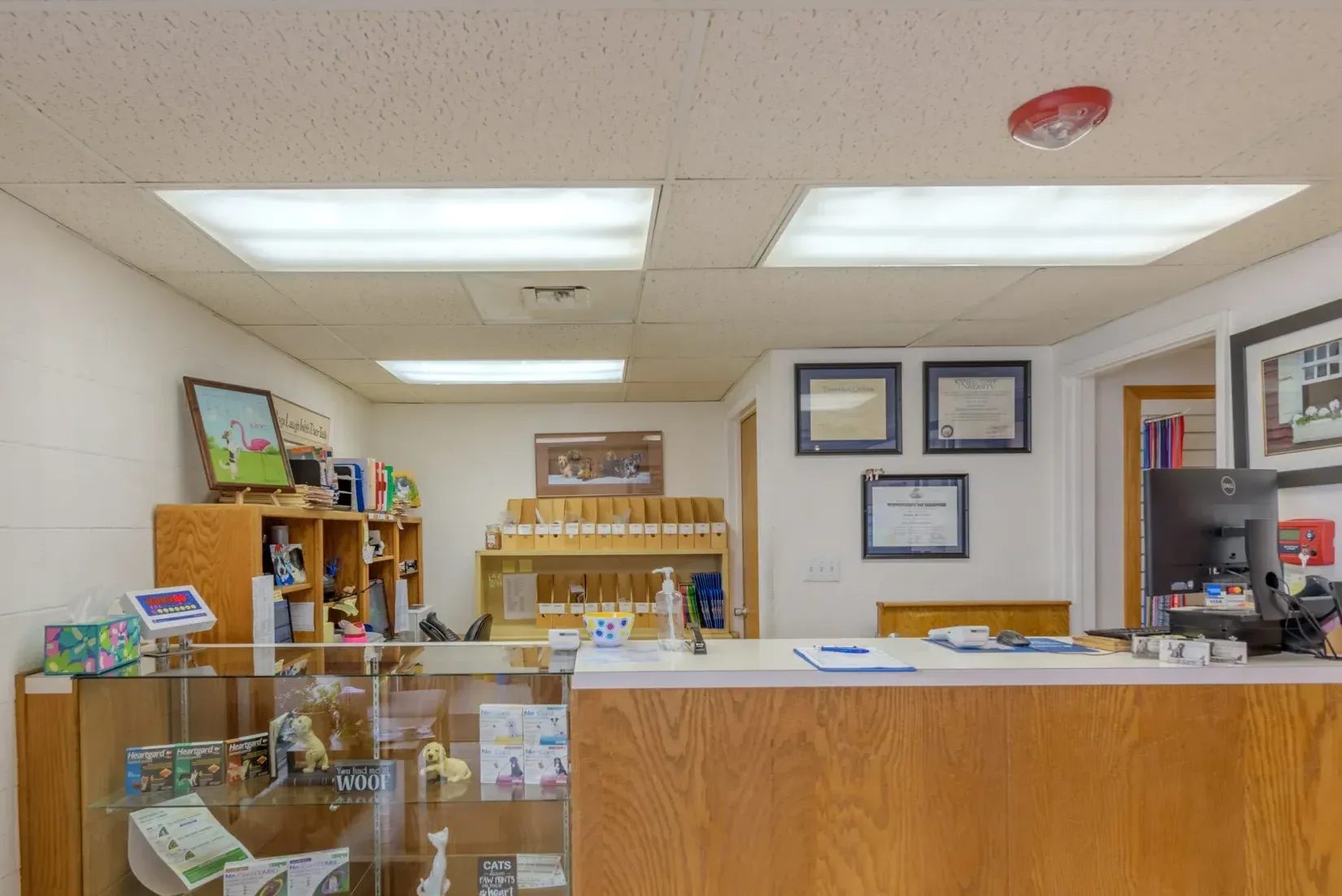 Veterinary clinic reception desk with wooden counter and glass display case